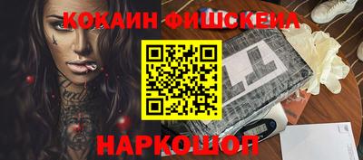 тгк Кингисепп