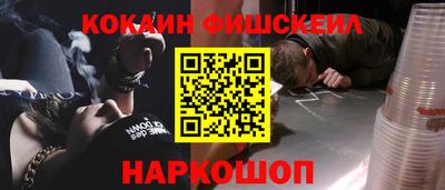 тгк Кингисепп