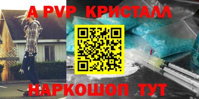тгк Кингисепп