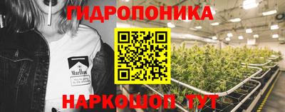 тгк Кингисепп