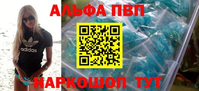 тгк Кингисепп