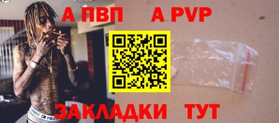 тгк Кингисепп