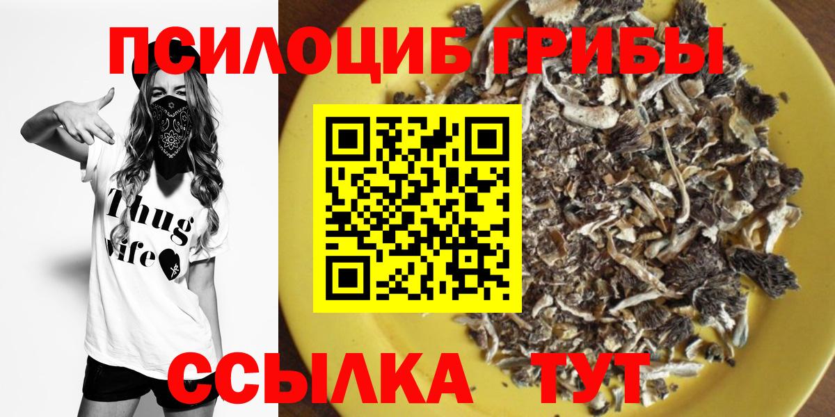 Черногорск  Галлюциногенные грибы Psilocybe  Вход с VPN  как найти закладки  Галлюциногенные грибы GOLDEN TEACHER 